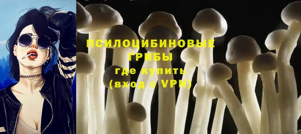 мдма Новозыбков