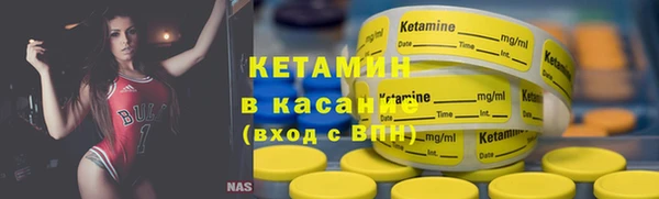 трава Новодвинск