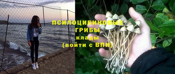 стафф Нея