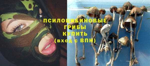 мдма Новозыбков