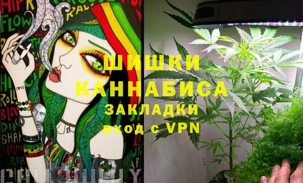 мдма Новозыбков