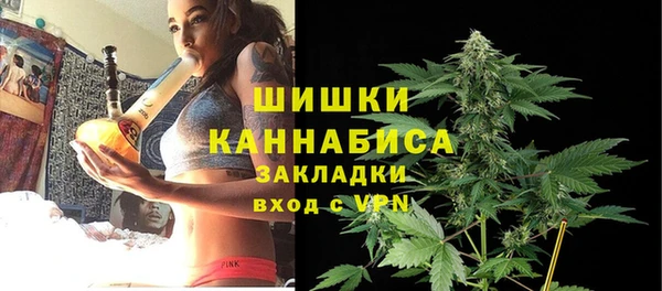 мдма Новозыбков