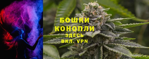 ешки Новокубанск