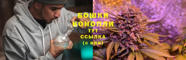 трава Новодвинск