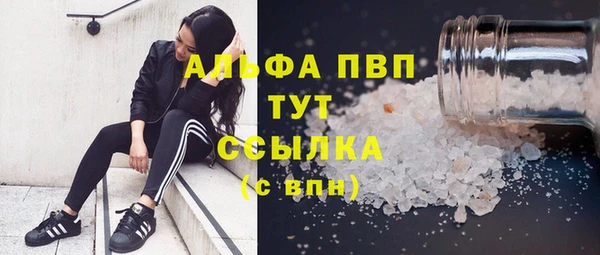 трава Новодвинск